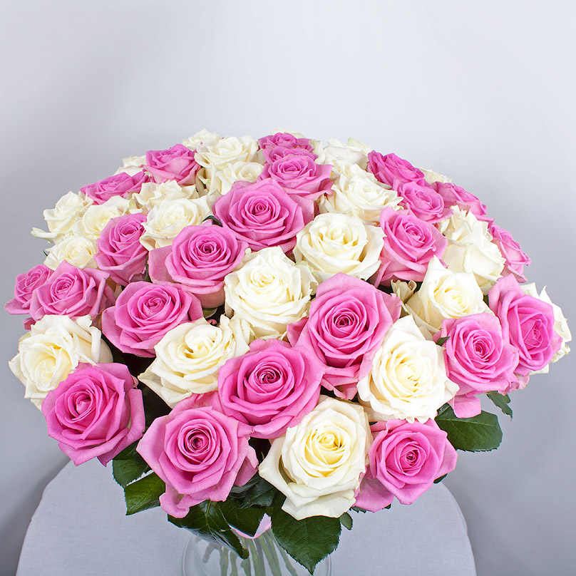 Фото 51 бело-розовая роза