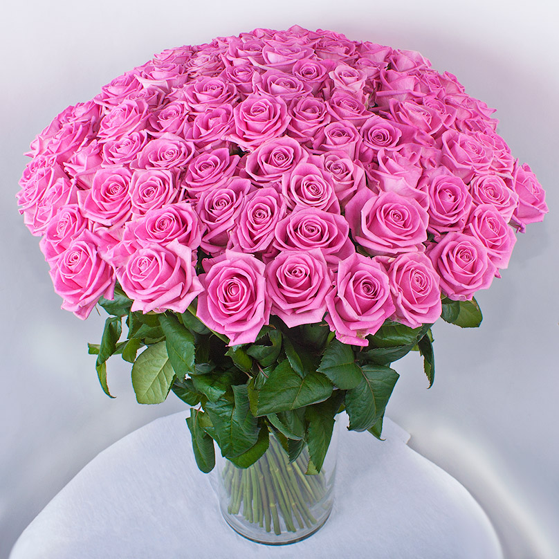 Фото 101 розовая роза Аква