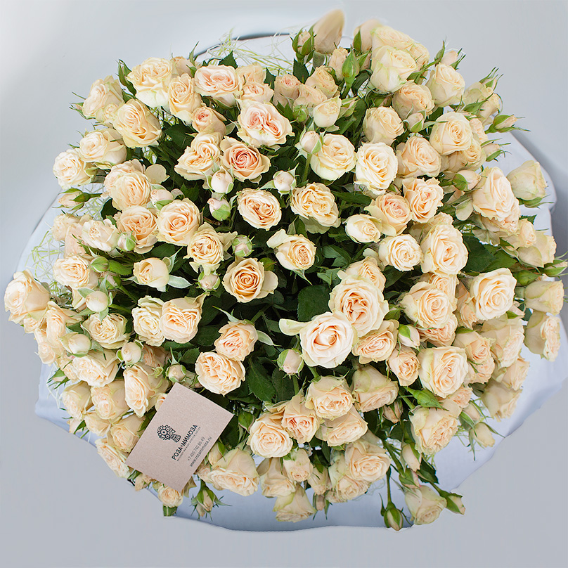 Фото 25 кустовых кремовых роз