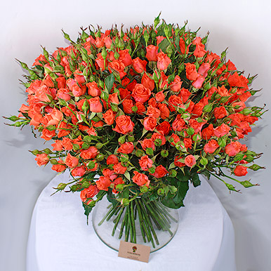55 оранжевых кустовых роз