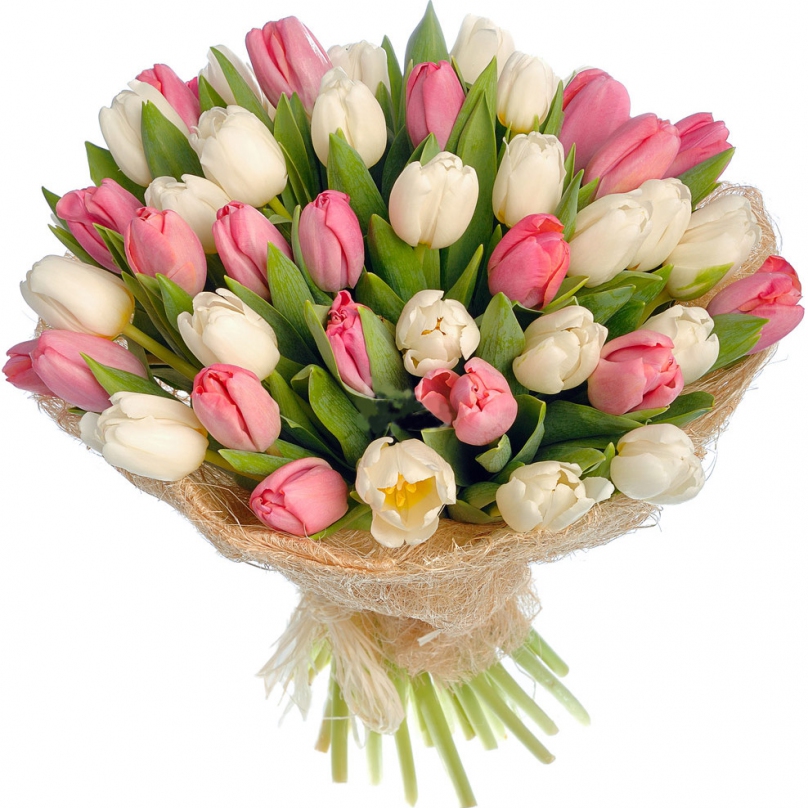 Фото Букет из 35 бело-розовых тюльпанов