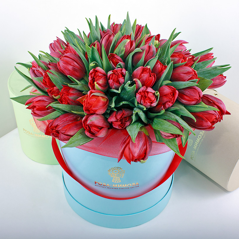 Фото Красные тюльпаны в голубой коробке