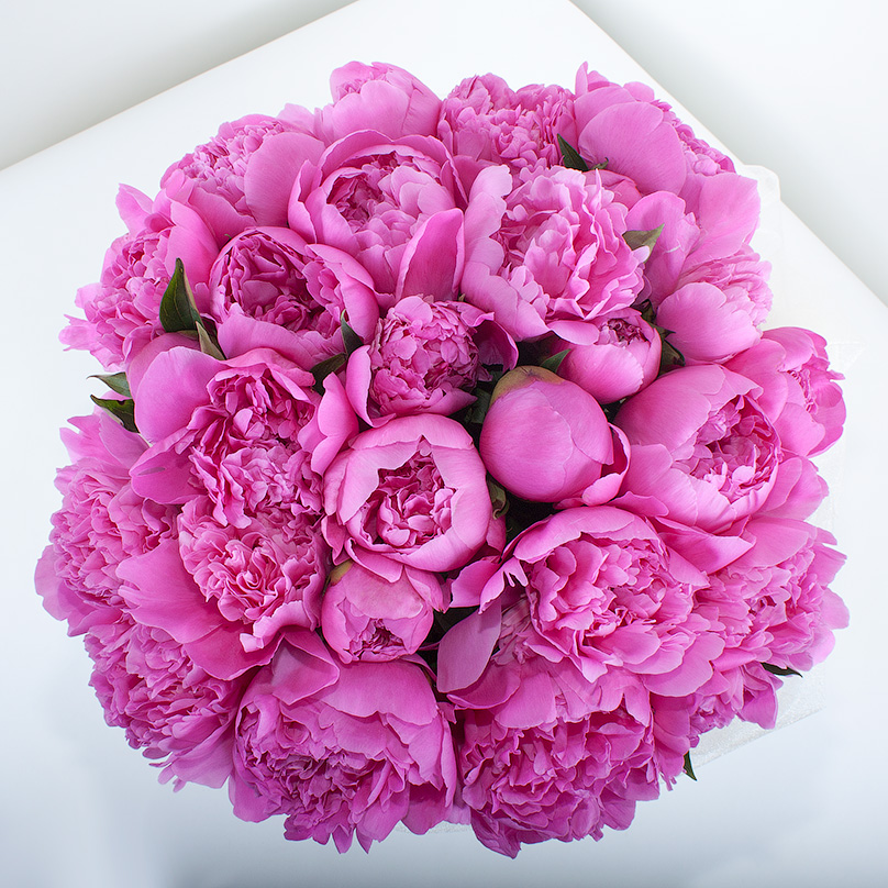 Фото Розовые пионы в белой коробке