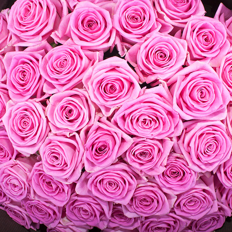 Фото 51 розовая роза «Аква» в крафте