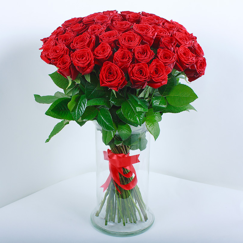 Фото 51 красная роза «Ред Наоми»