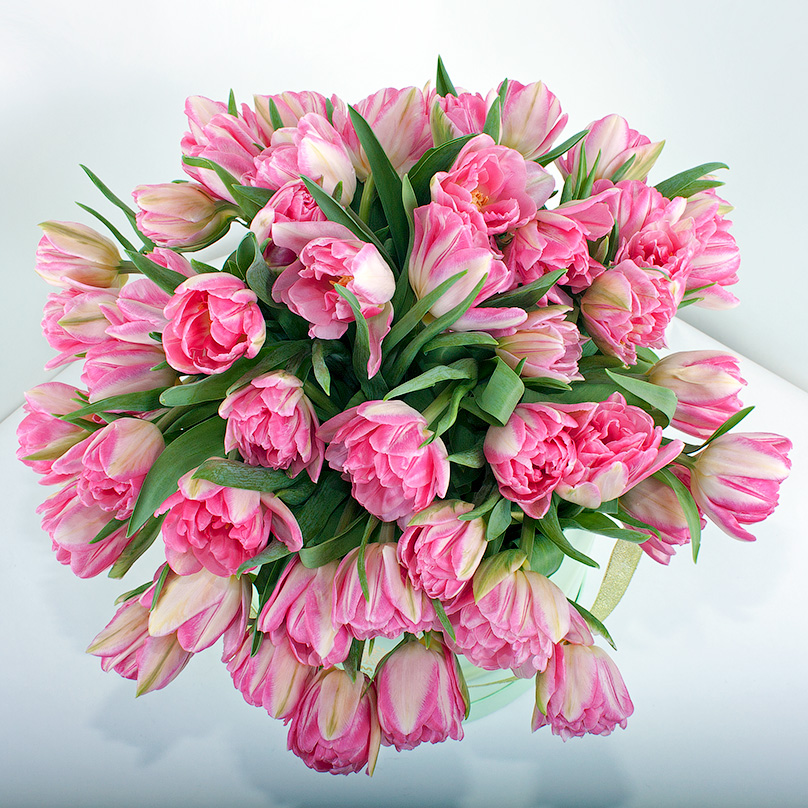 Фото 49 розовых пионовидных тюльпанов в коробке