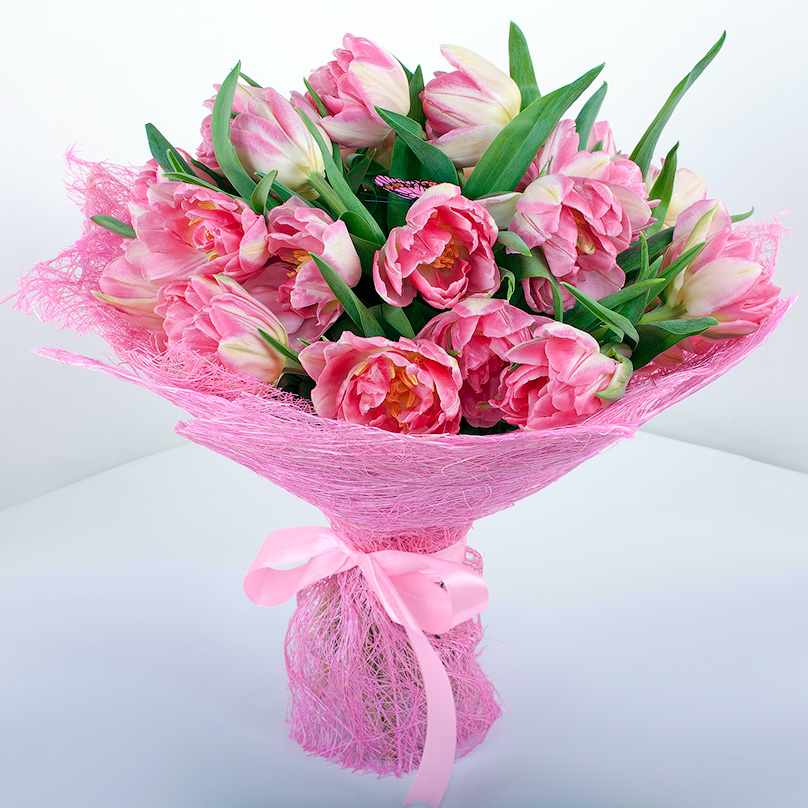 Фото 25 розовых пионовидных тюльпанов