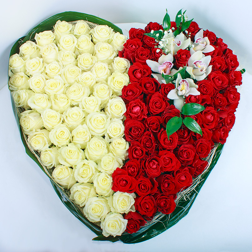 Фото Сердце из 101 красно-белой розы с орхидеями