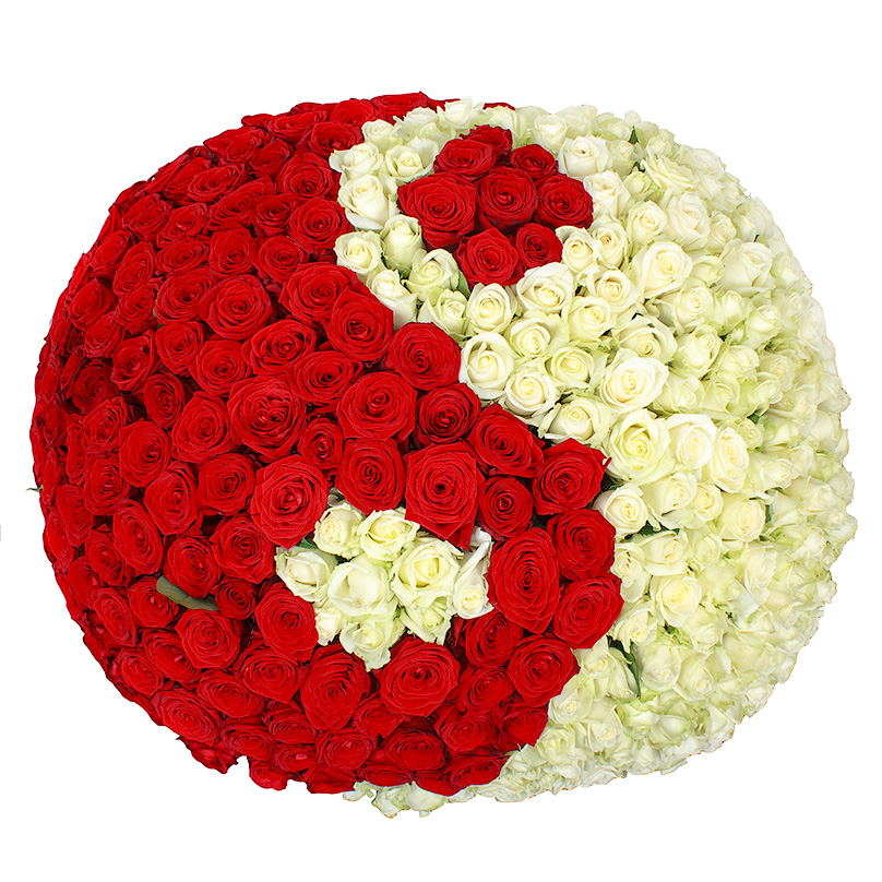 Фото 351 красно-белая роза «Инь-Янь» в корзине