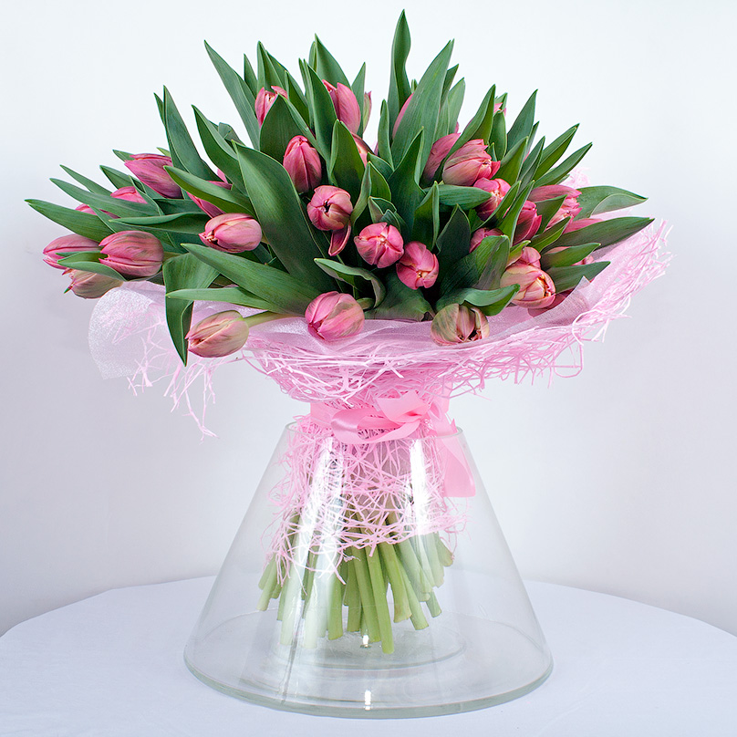 Фото 49 розовых тюльпанов