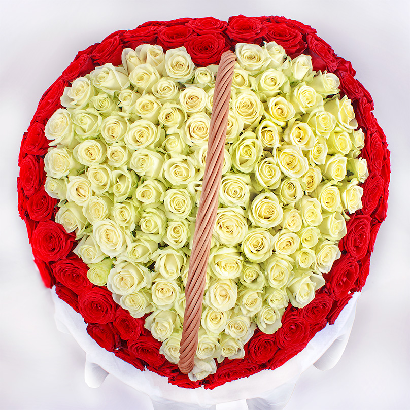 Фото Сердце из 151 красно-белой розы