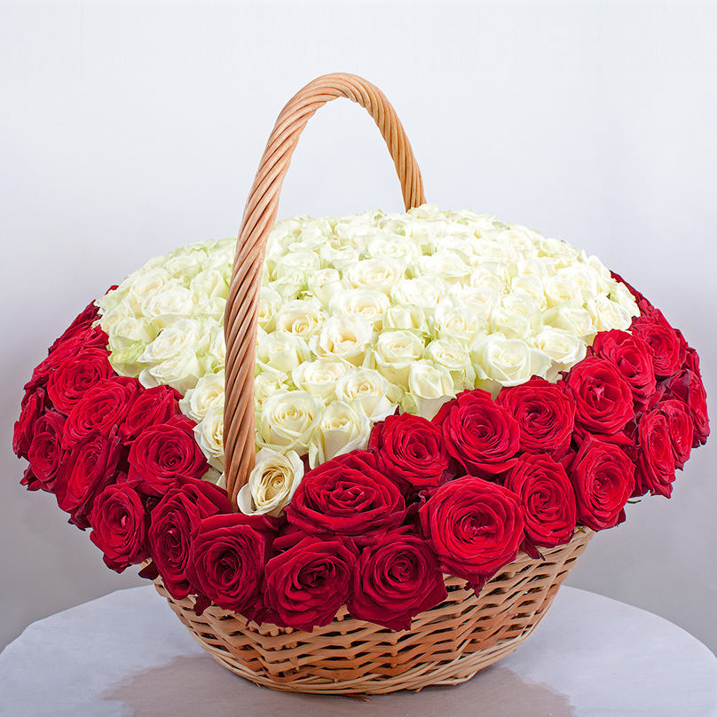 Фото Сердце из 151 красно-белой розы