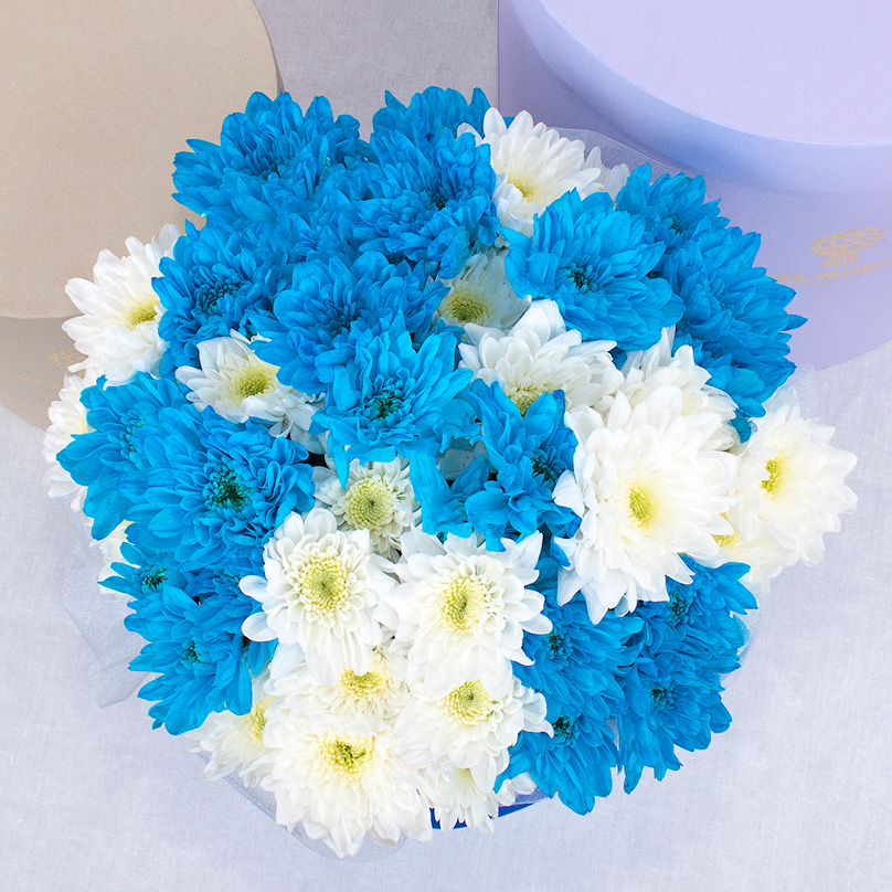 Фото Мини-коробка с белыми и синими хризантемами