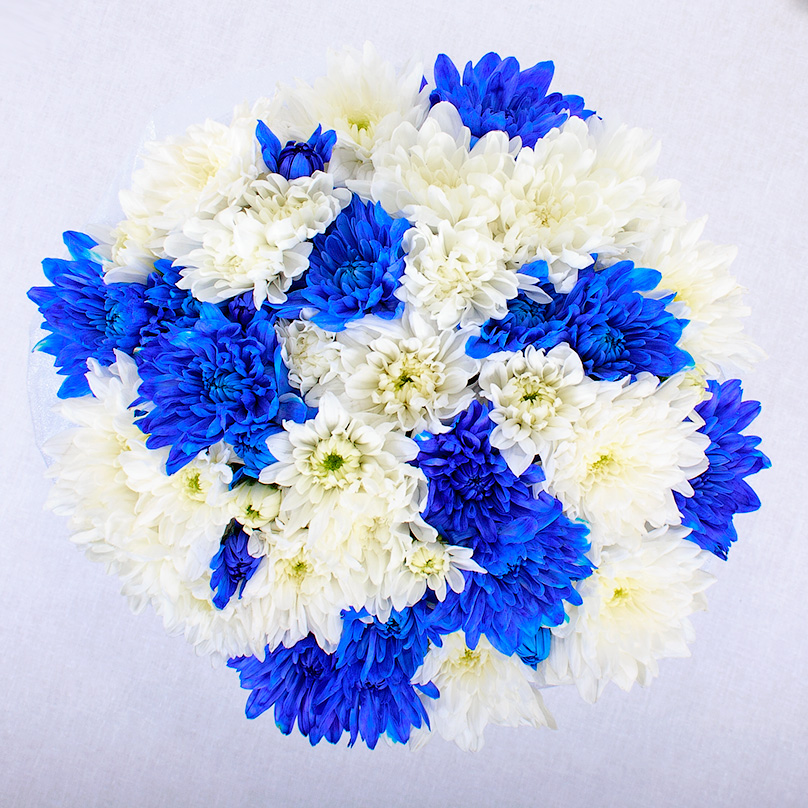 Фото Шляпная коробка с синими и белыми хризантемами