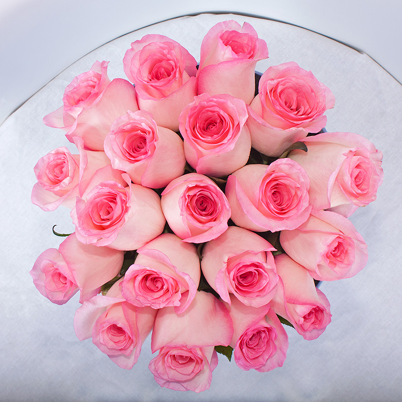 Фото Розовая Кенийская роза в круглой коробке