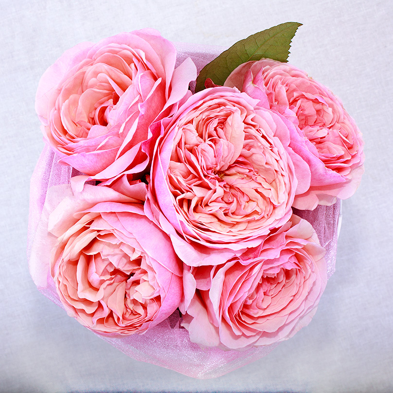 Фото Мини-коробка с пионовидными розами