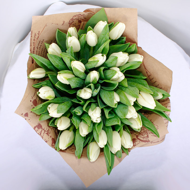 Фото 25 белых тюльпанов в крафте