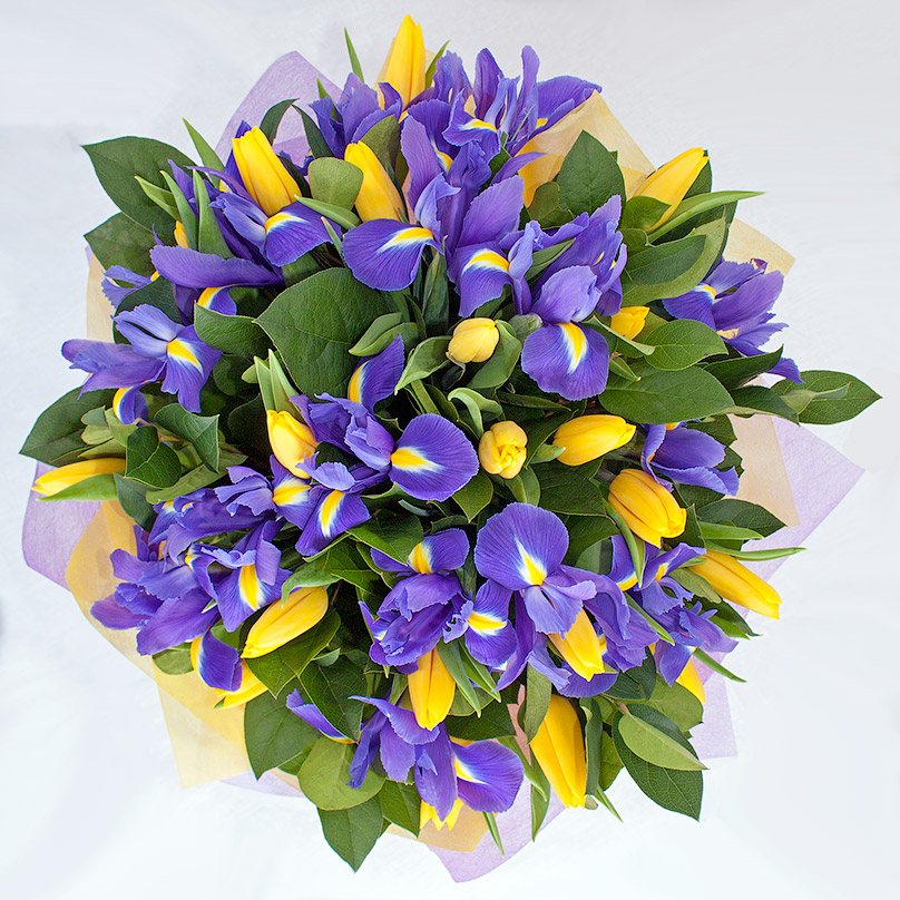 Фото Желто-синий букет с ирисами и тюльпанами