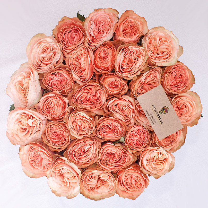 Фото Французская пионовидная роза в большой коробке