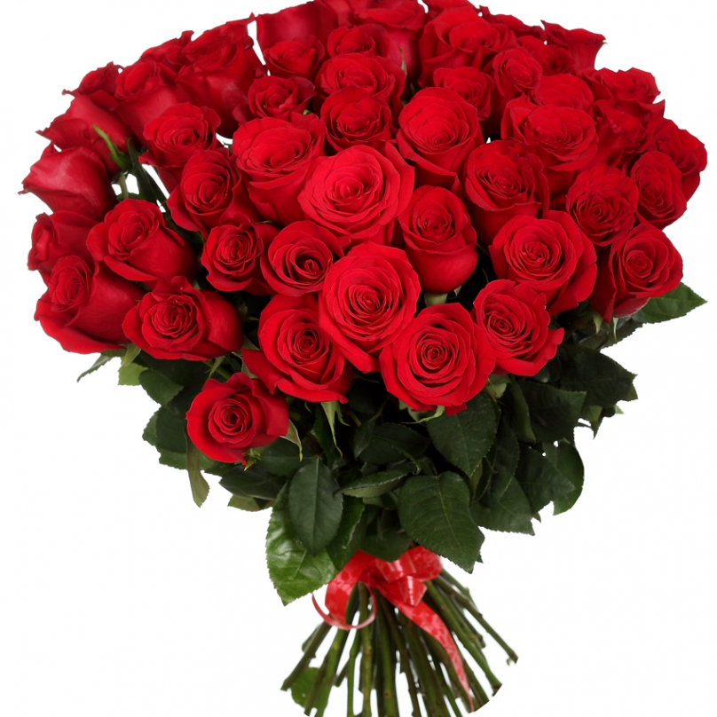 Букет из 51 красной розы «Гран-при» по лучшим ценам с доставкой по Москве